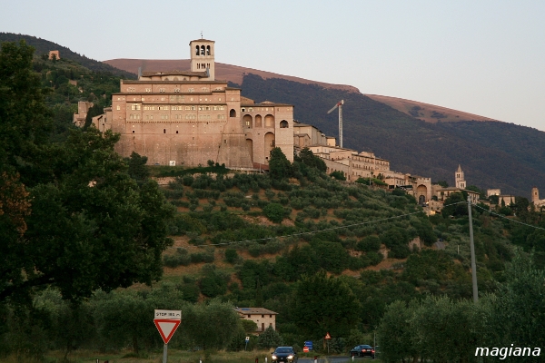 assisi'